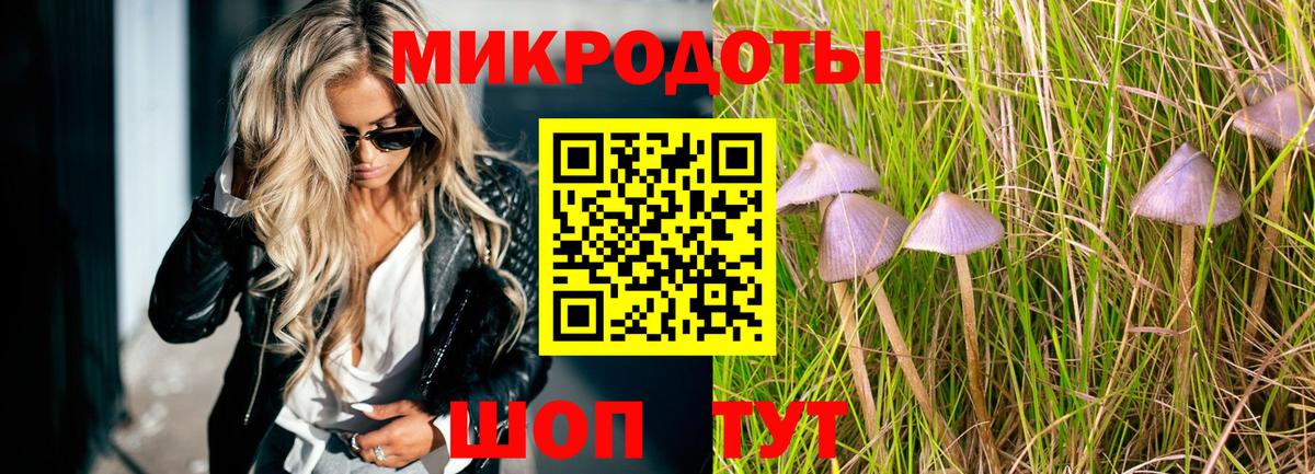 Галлюциногенные грибы прущие грибы Нижний Тагил