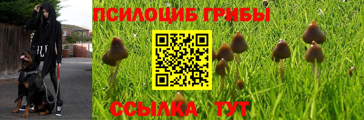 Нижний Тагил  Галлюциногенные грибы Psilocybe  Галлюциногенные грибы мухоморы  Вход с VPN 