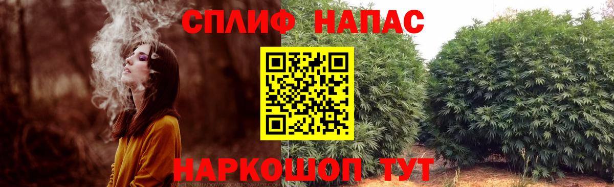 МАРИХУАНА SATIVA & INDICA  Вход с VPN  Канабис семена  Конопля Ganja  Нижний Тагил 